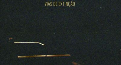 BENJAMIM - VIAS DE EXTINÇÃO capa