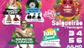 Salgueirão Summer Fest 2025 cartaz